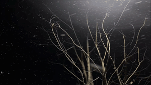 162529mh8zdh6ps0ih8hpb.gif