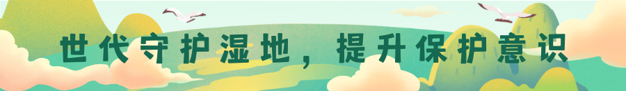 205748ffftclp7h771h79h.png