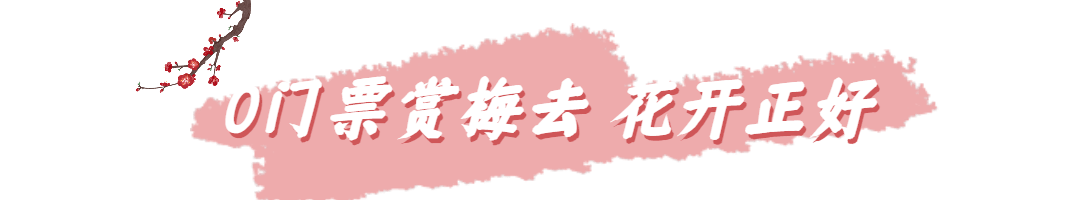 微信图片_20230209130504.gif