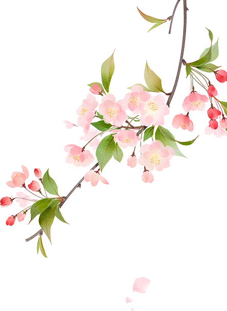 145454o97jbn7eks6979jn.png