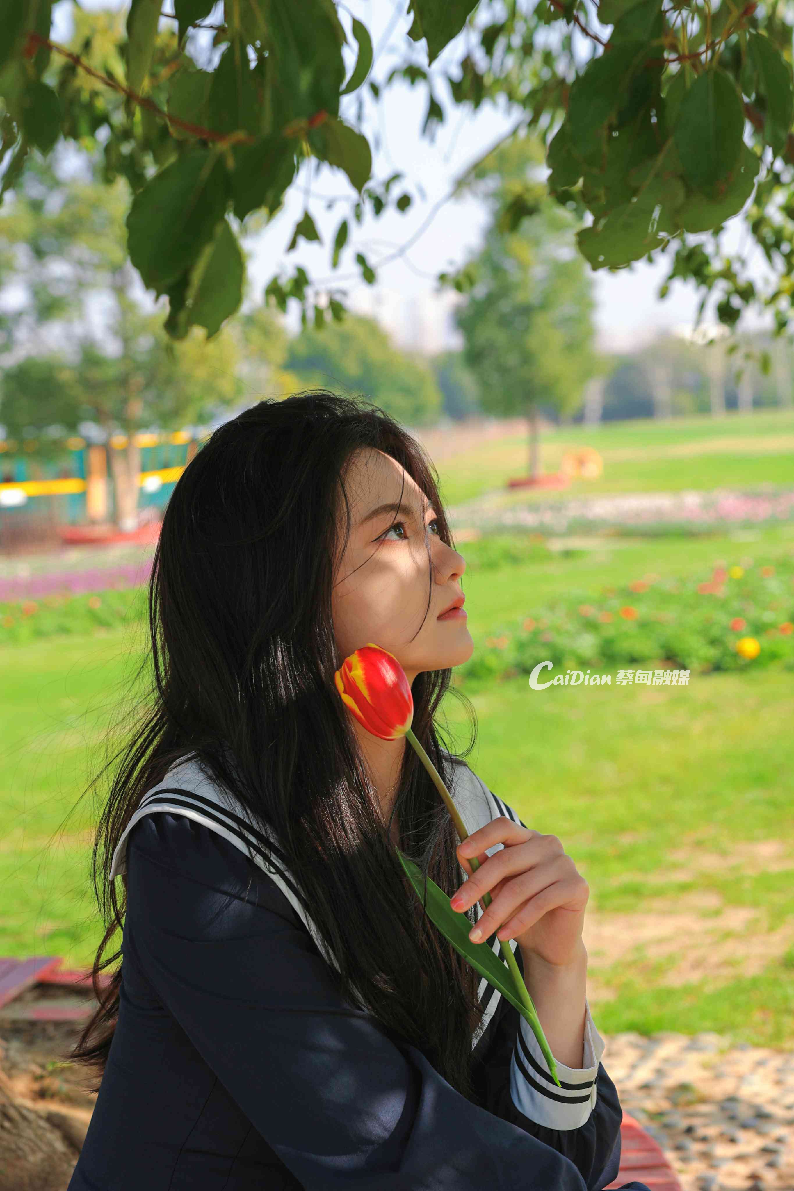 143243ss9cfdi0wd7cswca.jpg