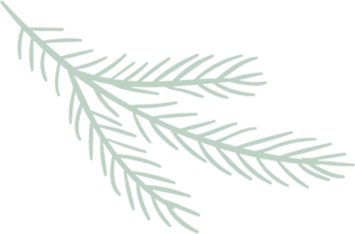 174222egtbltfhvjgr8jzj.png