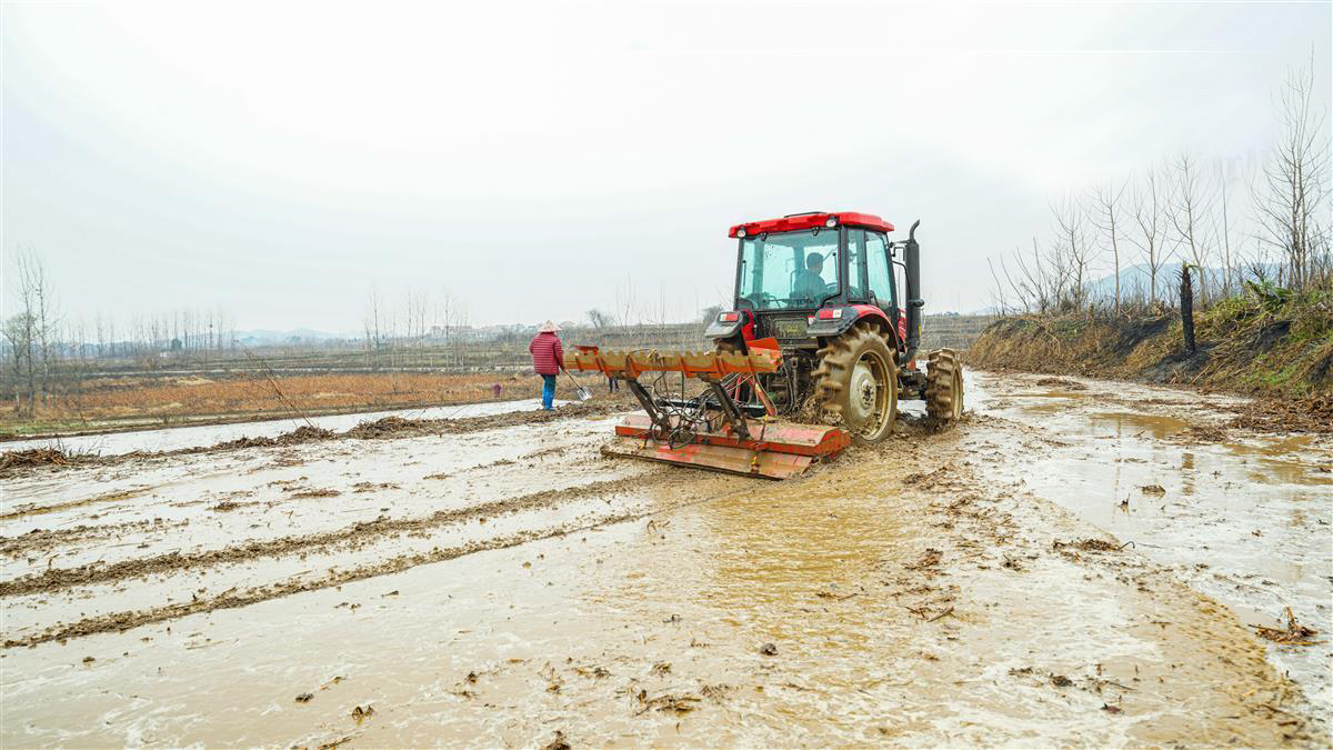 121132j0rb6epzv162pwwc.jpg