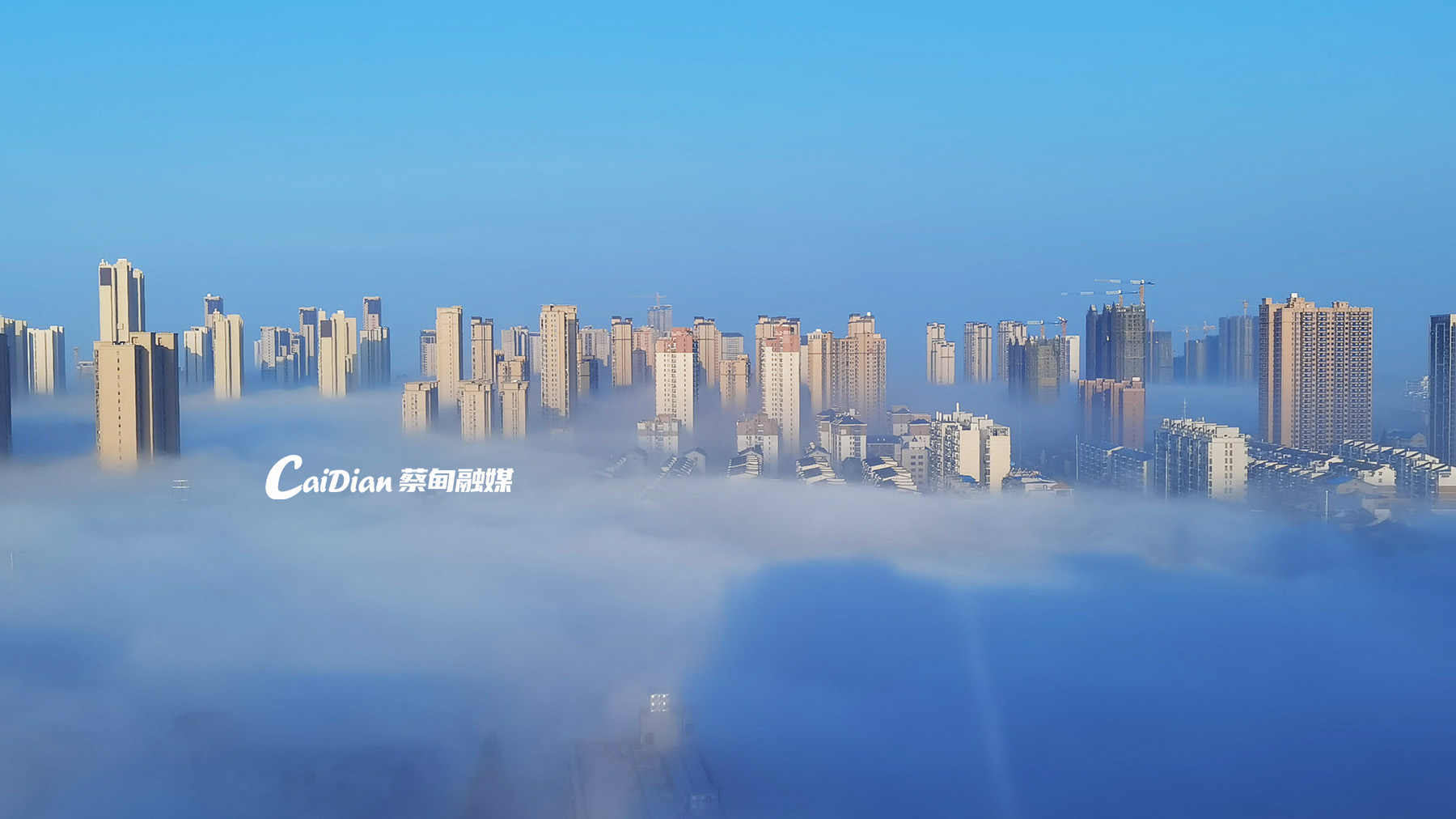 微信图片_20221117082658.jpg