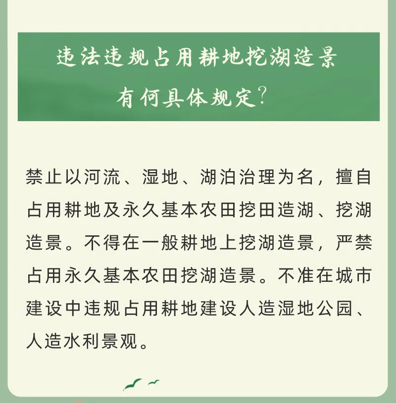 183742stcys11nc16osnpz.jpg