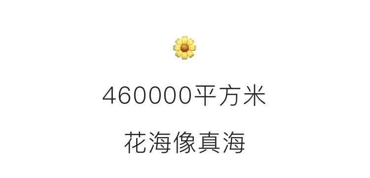 114217vr3gz5fcx54s1184.jpg