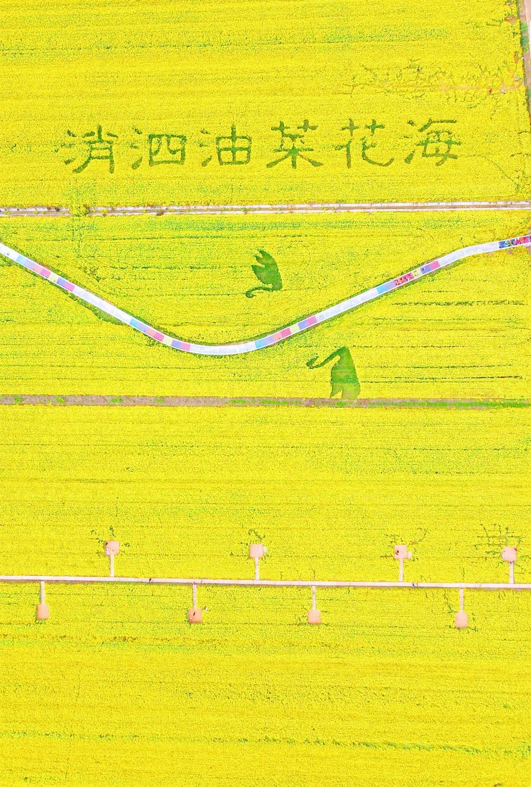 090445xylslgt4r4zhp5oi.jpeg