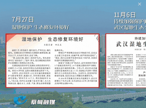 175201c6ph3z65tq3vvq5s.gif
