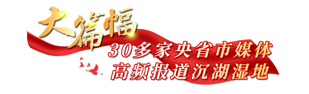 175201m11zxnh8y1nx13c1.png