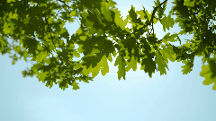 105906l15zhskxk5cko7xk.gif