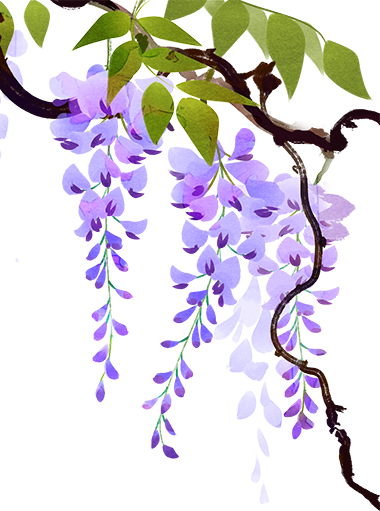 130112s29480dyqz8vv4mz.png