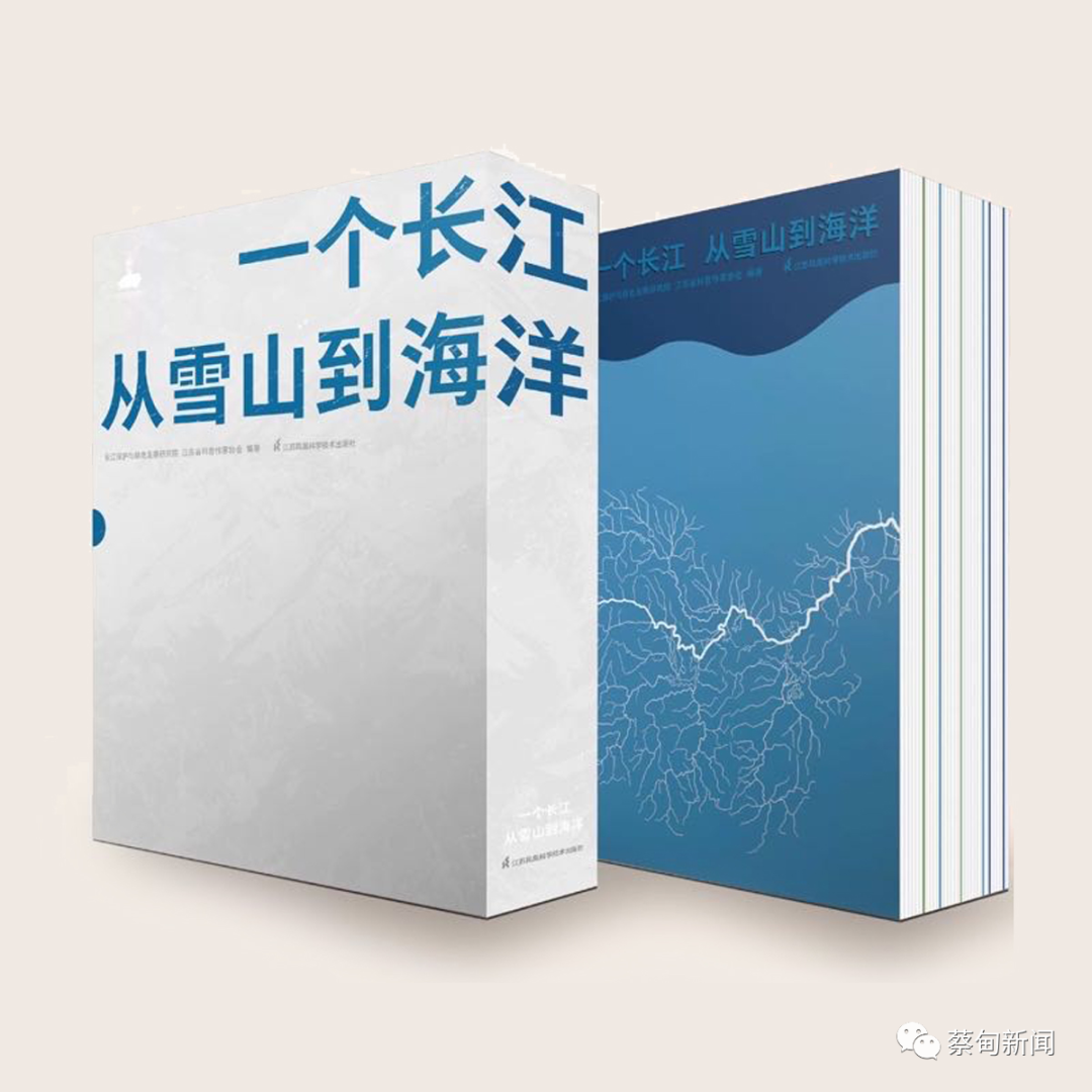 140354xd6sc9hc8d9x9x22.png