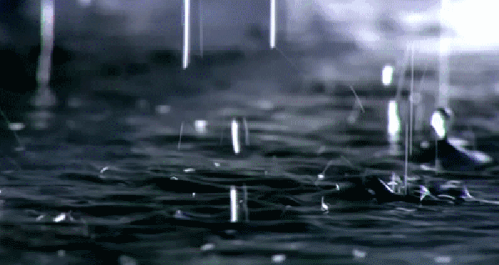 120206n8a12suwu8z8x582.gif