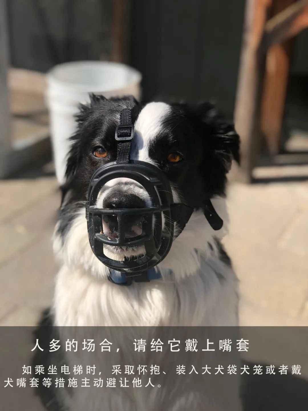 100306h7xccnvhx4hxpepx.jpeg