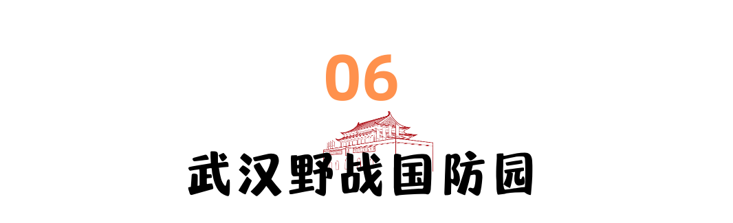 104708y8s9kkt9n04bf9b5.png