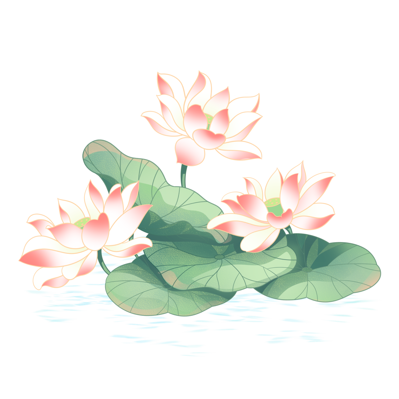 150934q19vxx12x89h1ixh.png