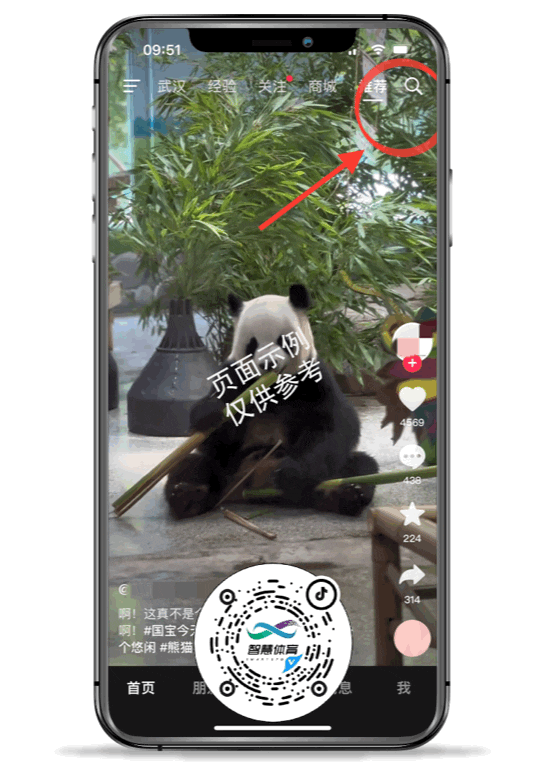 125652p23gxi0w62c9c204.gif