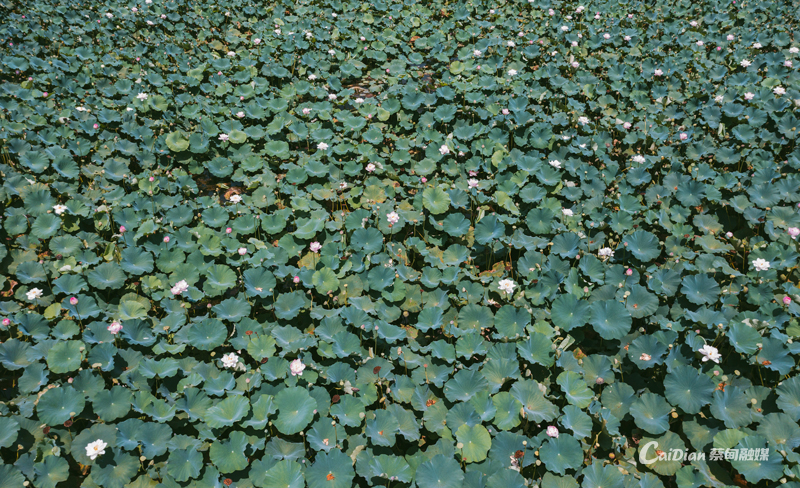 171047qsesajayjoaeyrij.jpg