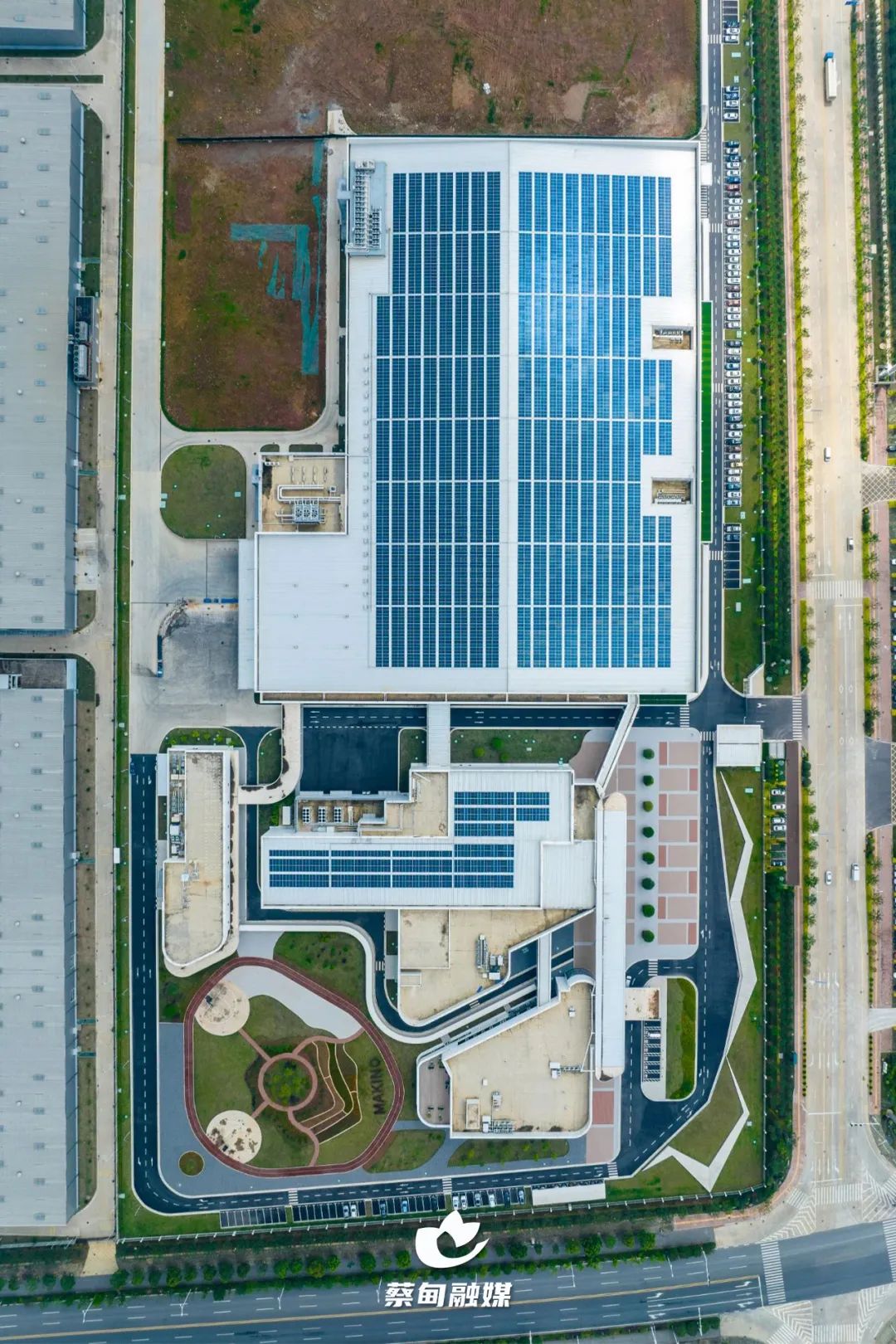 131557x5ta3et838f050oz.jpeg