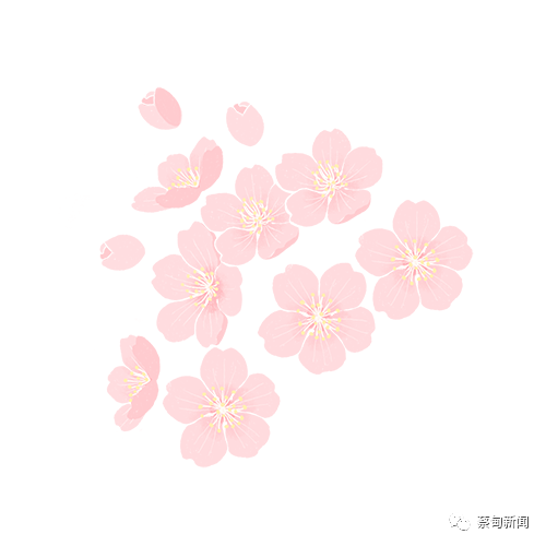 113420yf2bv34qxhi2nxbv.png