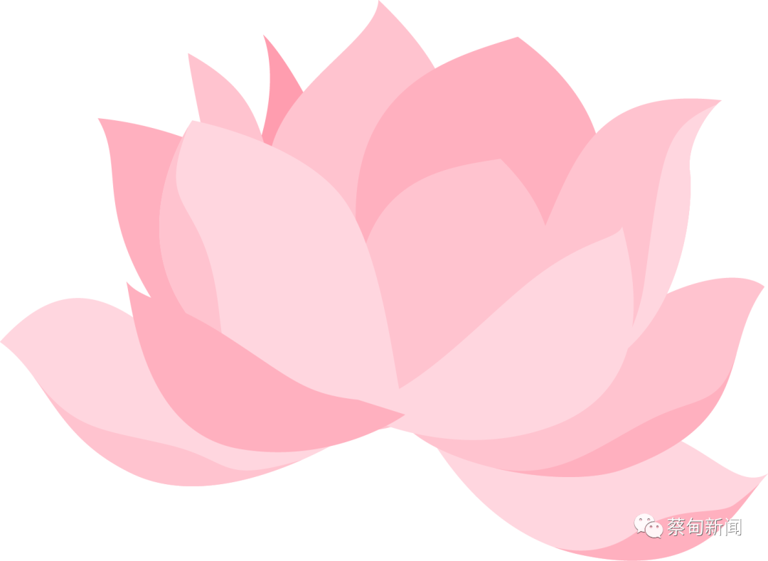 154146cx1brwbjr6sw5swz.png