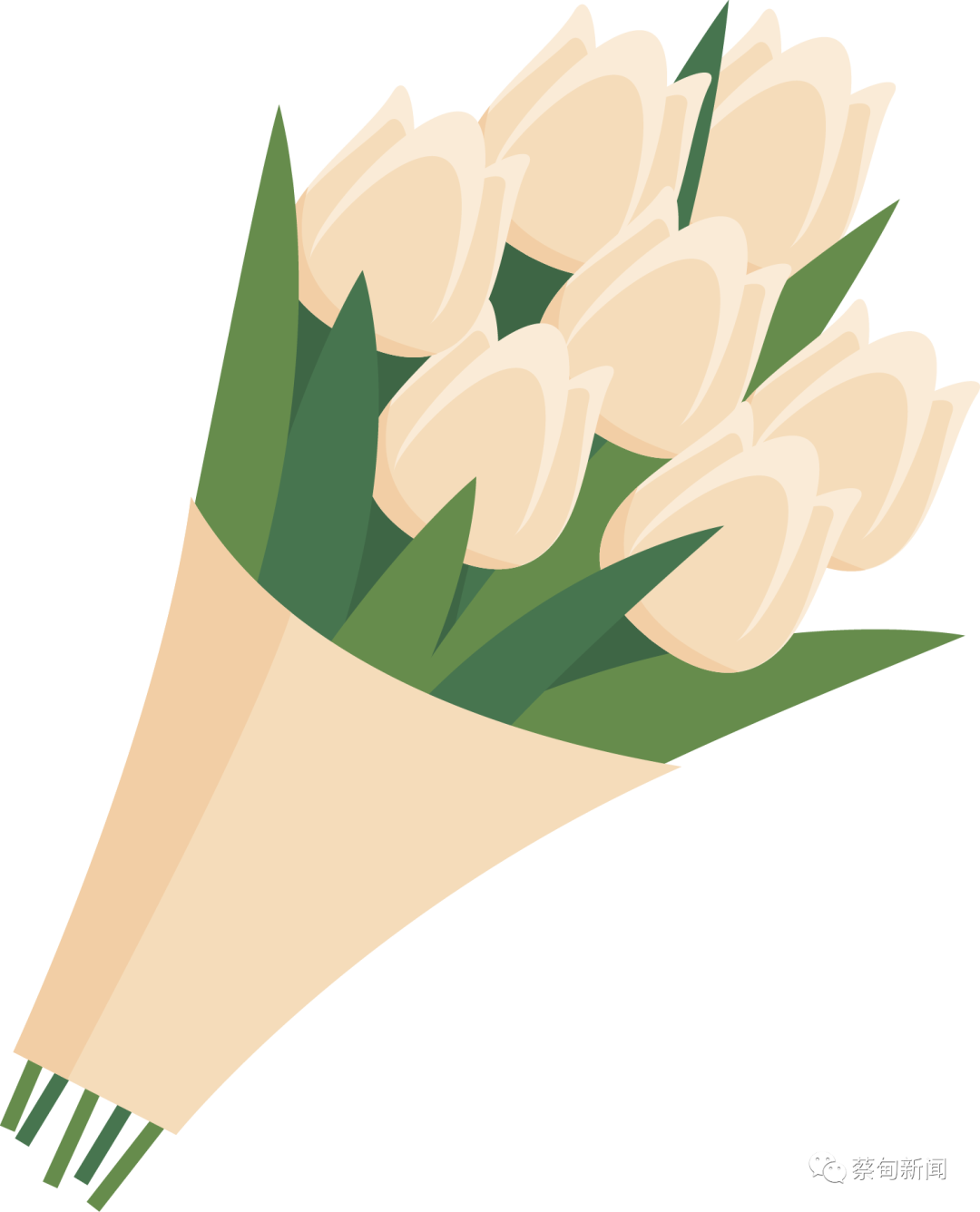 212042gttiiip9pwpi9ge6.png