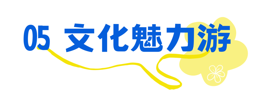 090703xcyy7676q0oo690o.png