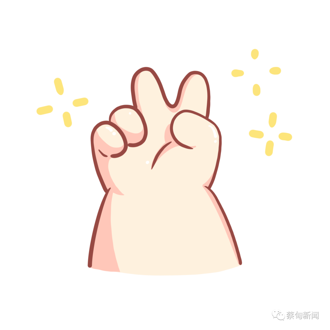 132757xnikbb8486oo2hk2.png