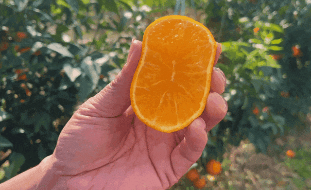 114626q4y53t5ydydtoe37.gif