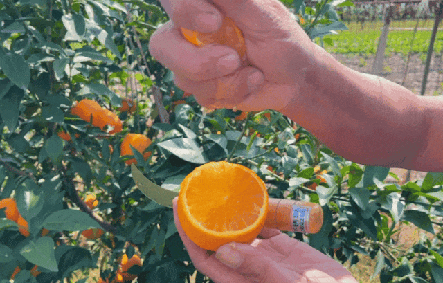 114627k1fnssuuagss1spz.gif