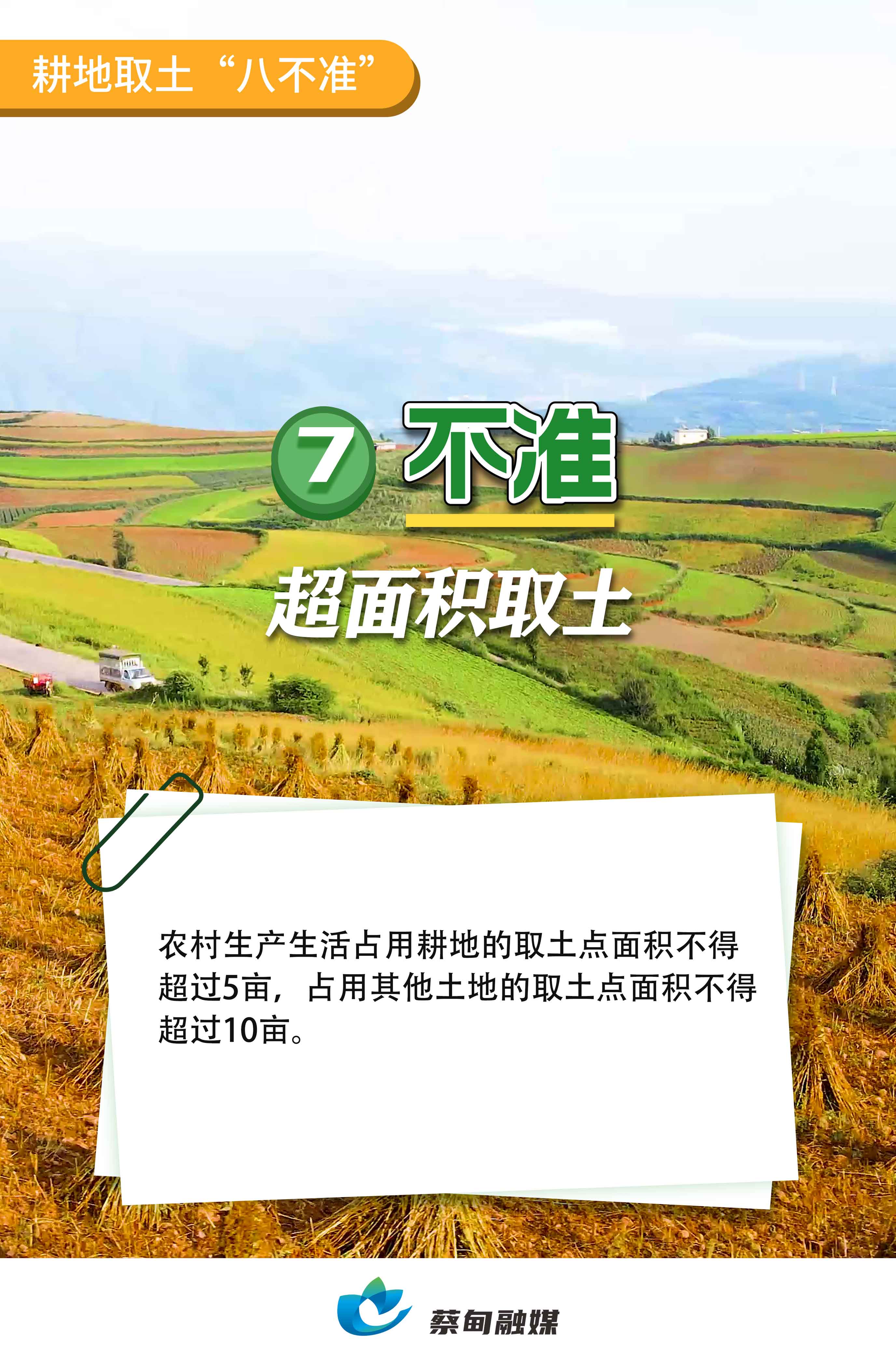 漆.jpg
