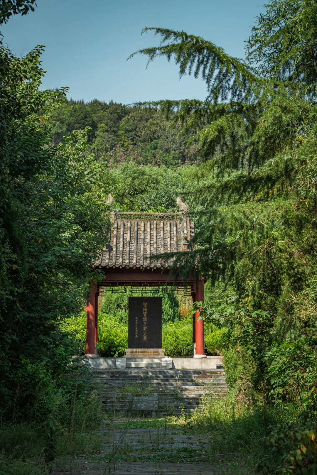 160737mjxlt0c6ugtrrzns.png