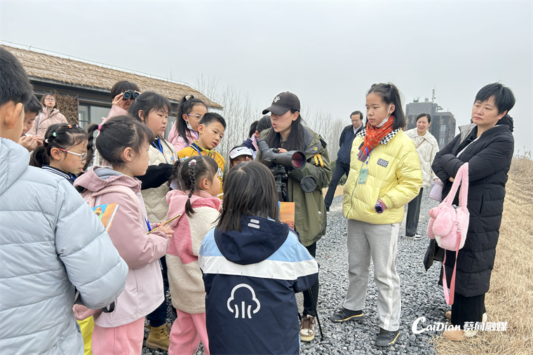 164312bly2v12cbp1y1511.jpg