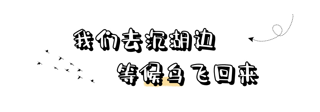 114307wgz4ql7p18kz1g6q.jpeg