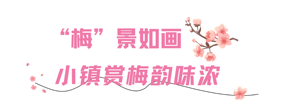 183953oluqw34lqlaxpypy.png