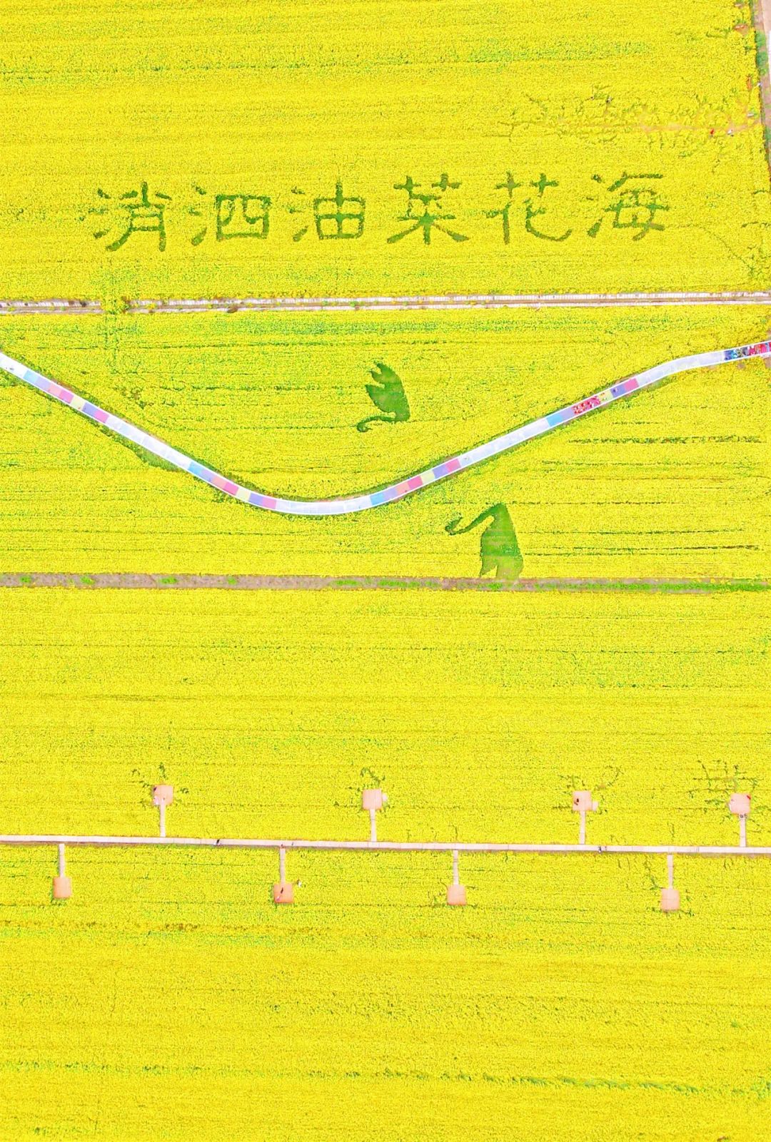 101347f36uujwf0360g3dg.jpeg