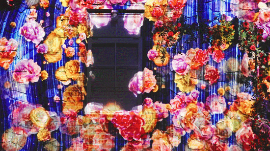 164711efcwscsqpxqclu8s.gif