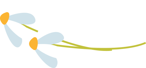 112441ekgv7gsg0wppvvt2.png
