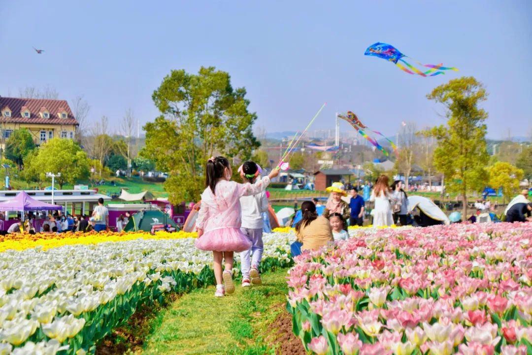 160425ptzbnhcctoteobm2.jpg