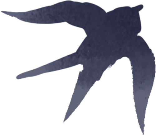 114920n500pbblj7dkk7bh.png