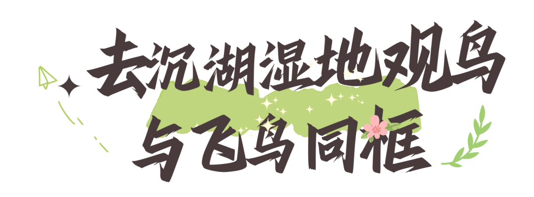 114040aijhek67zhwweki0.png