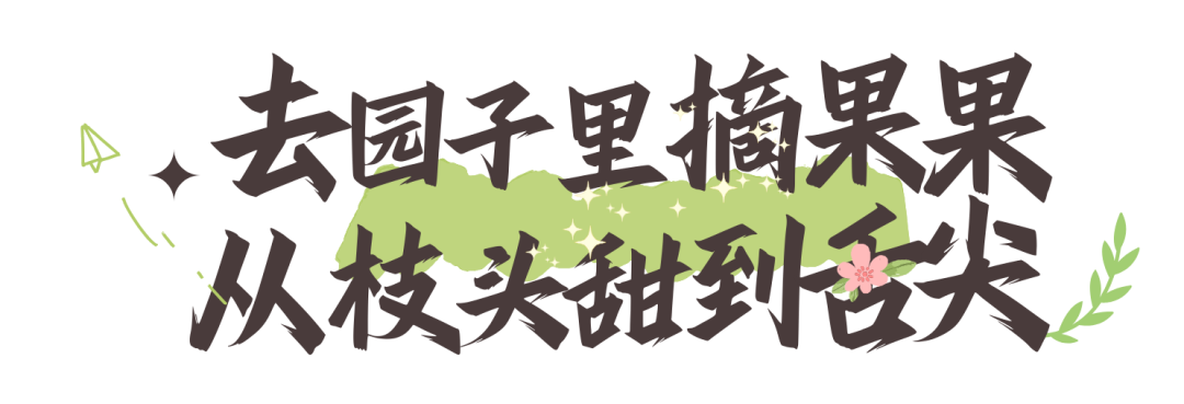 114041m5b4statrv2ty4bb.png