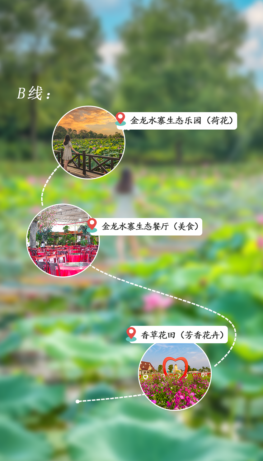 183509bxpecixz0ge6ic56.png
