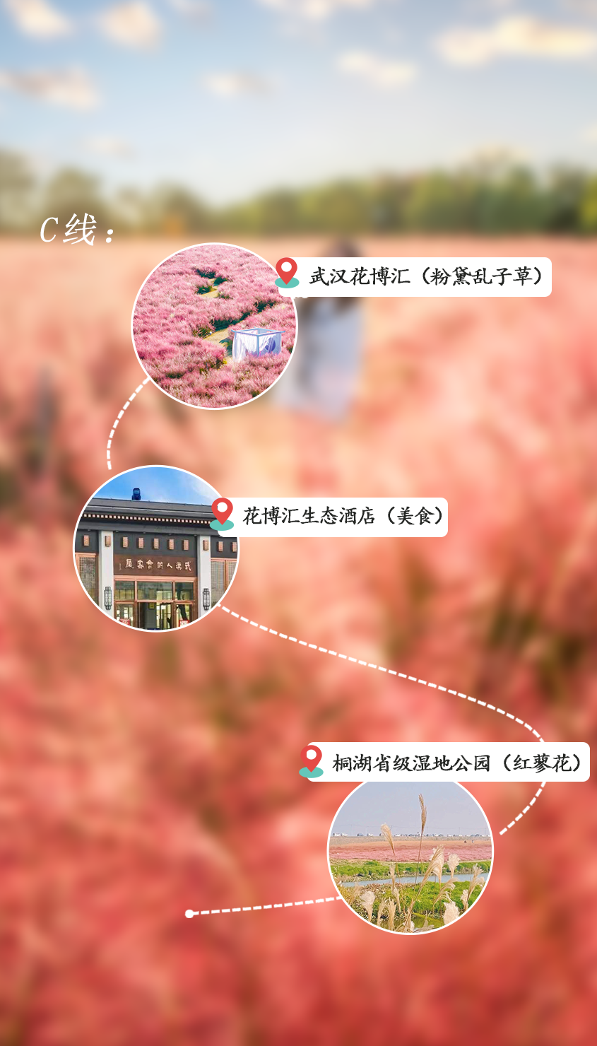 183510qujk476t566u77xx.png