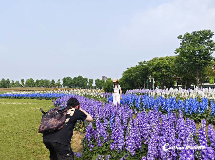 092625bgzdl8nk5vi1164w.jpg