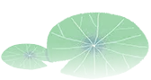 184905mowztcpp52vw2o7w.png