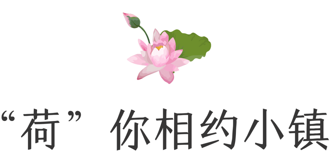 203139hkzf8l3d5n5svdxn.png