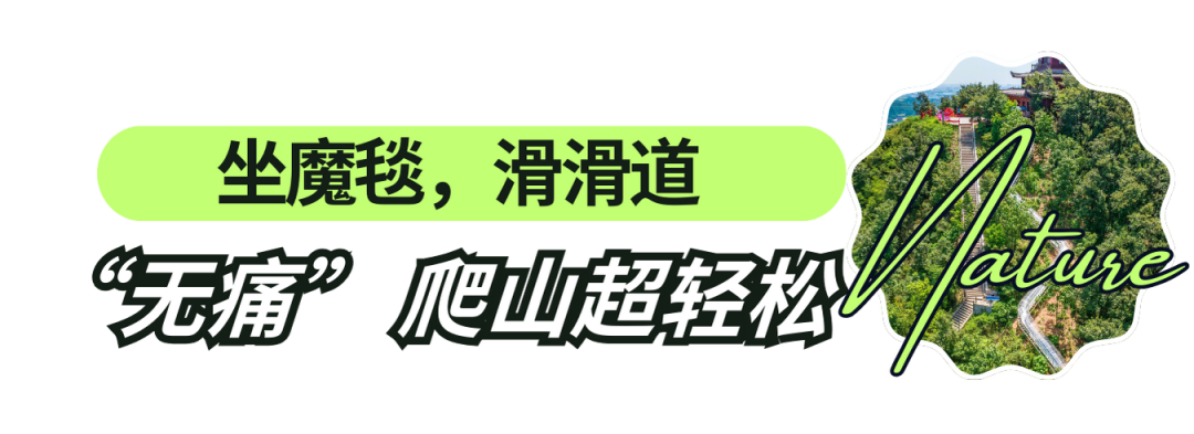 121613mcd5lfdrfhfdggrn.png