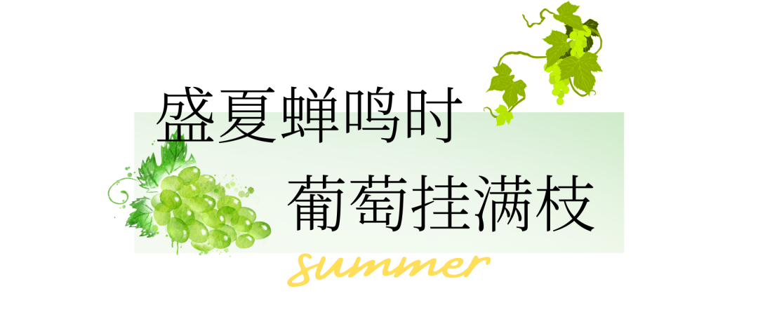 130236cxmtwlx83u7330cl.png