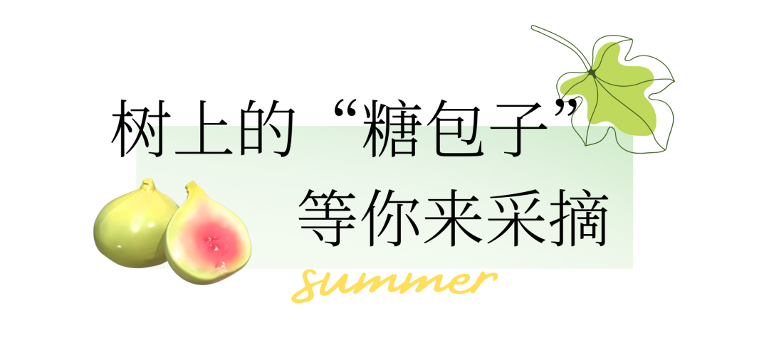 130237wqai6w37y9qf6buq.png